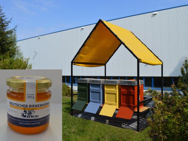 KP Bee - Prozessoptimierte Honig-Gewinnung zum Schutz der Bienen in der Oberlausitz